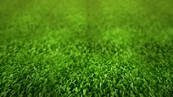 Césped artificial Arce Verde